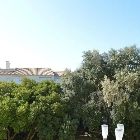 La Baleine Rose 1 * Agde